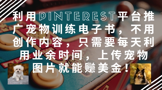 利用Pinterest平台推广宠物训练电子书，不用创作内容，只需要每天利用业余时间，上传宠物图片就能挣美金!-沐风资源库