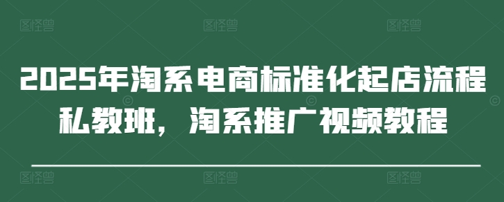 2025年淘系电商标准化起店流程私教班，淘系推广视频教程-沐风资源库