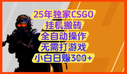 25年独家CSGO挂G搬砖，全自动操作，无需打游戏，小白日入3张+【揭秘】-沐风资源库