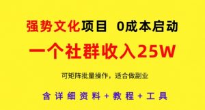强势文化项目，一个社群收入25个W，0成本启动，可矩阵批量操作，原创详细实操教程-沐风资源库