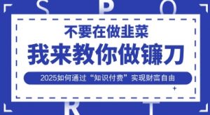 韭菜生涯终结者，我来教你做镰刀，2025如何通过“知识付费”实现财F自由【揭秘】-沐风资源库