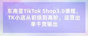 东南亚TikTok Shop3.0课程，TK小店​从初级到高阶，运营出单干货输出-沐风资源库