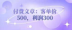 付费文章：客单价500，利润300-沐风资源库