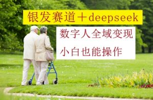 银发赛道+deepseek数字人全域变现，小白也能操作-沐风资源库