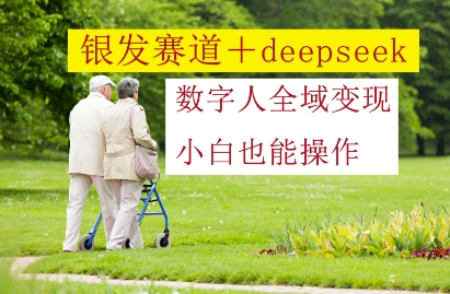 银发赛道+deepseek数字人全域变现，小白也能操作-沐风资源库