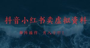 抖音小红书卖虚拟资料，市场需求一直存在，矩阵操作，月入1w+-沐风资源库