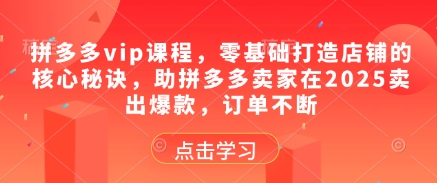 拼多多vip课程，零基础打造店铺的核心秘诀，助拼多多卖家在2025卖出爆款，订单不断-沐风资源库