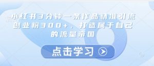 小红书3分钟一条作品精准引流创业粉300+，打造属于自己的流量帝国-沐风资源库