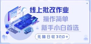 线上批改作业，操作简单新手小白首选，无脑日收300+【揭秘】-沐风资源库