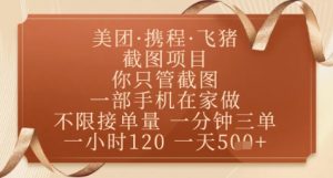 飞猪美团截图项目，你只管截图，一部手机在家做，正规平台无套路，一天5张+【揭秘】-沐风资源库
