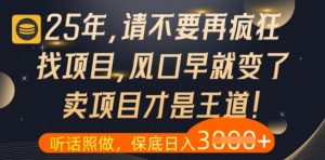 什么?25年你还在疯狂找项目做,醒醒吧,看完这些你全都懂了【揭秘】-沐风资源库