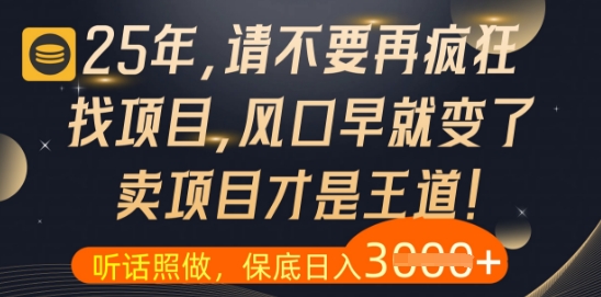 什么?25年你还在疯狂找项目做,醒醒吧,看完这些你全都懂了【揭秘】-沐风资源库