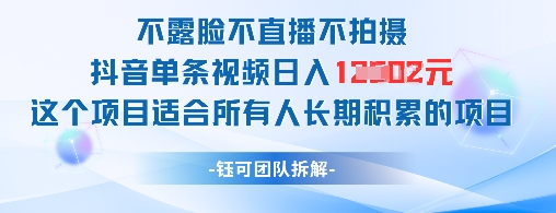 不露脸不直播不拍摄抖音单条视频日入1k+这个项目适合所有人长期积累的项目-沐风资源库