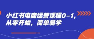 小红书电商运营课程0-1，从零开始，简单易学-沐风资源库