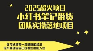 2025超火项目，副业最佳选择，小红书笔记带货团队实操落地项目，，轻松日入5张-沐风资源库