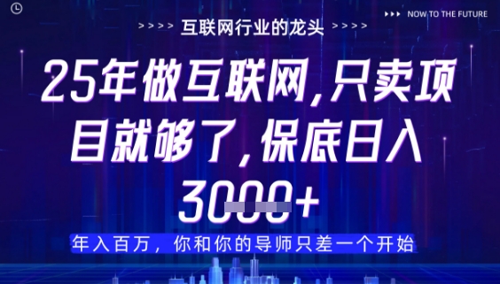 什么！25年你还在找项目做？风口早就变了，卖项目才是稳挣不赔【揭秘】-沐风资源库
