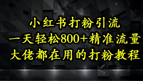 小红书打粉引流，一天轻松500+精准流量，大佬都在用的打粉教程-沐风资源库