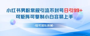 小红书男粉常规引流不封号日引99+变现简单 可矩阵可复制小白容易上手-沐风资源库