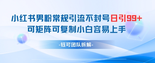 小红书男粉常规引流不封号日引99+变现简单 可矩阵可复制小白容易上手-沐风资源库