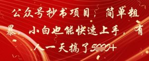 公众号抄书项目，简单粗暴，小白也能快速上手，有人一天搞了1k+-沐风资源库