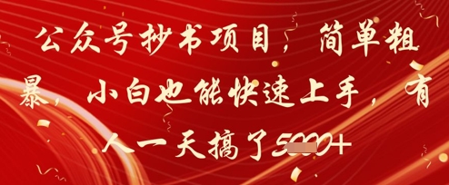 公众号抄书项目，简单粗暴，小白也能快速上手，有人一天搞了1k+-沐风资源库