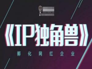 IP独角兽，孵化网红企业，ip教程-沐风资源库