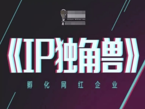 IP独角兽，孵化网红企业，ip教程-沐风资源库