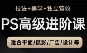 PS高级后期进阶课（技法+美学+独立营收），适合平面摄影广告设计等-沐风资源库