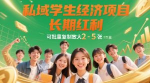 私域学生经济项目，长期红利，可批量复制放大，日收益2-5张-沐风资源库