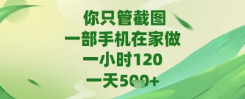你只管截图,一部手机在家做,苹果安卓都可以,一天5张+【揭秘】-沐风资源库
