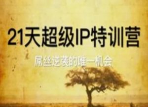 21天超级IP特训营，屌丝逆袭的唯一机会-沐风资源库