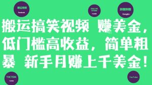 搬运搞笑视频挣美金，低门槛高收益，简单粗暴新手月入上千美刀-沐风资源库