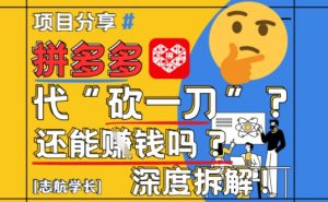 【2025最新】拼多多代坎助力项目深度拆解：还能挣钱吗?全流程玩法-沐风资源库
