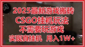 2025最新游戏搬砖，CSGO挂G，不需要玩游戏，实现真挂G，月入1W+【揭秘】-沐风资源库