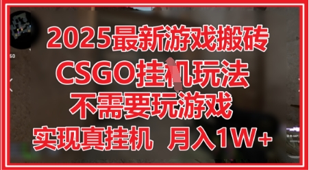 2025最新游戏搬砖，CSGO挂G，不需要玩游戏，实现真挂G，月入1W+【揭秘】-沐风资源库