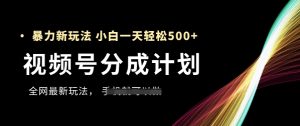 视频号分成计划，全网最暴力玩法，新手一天也能轻松5张+-沐风资源库