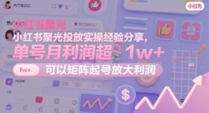 小红书聚光投放实操经验分享，单号月利润超1w+，可以矩阵起号放大利润-沐风资源库