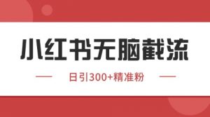 小红书只要你有同行就能获客，独家野路子获客玩法，暴力截流【揭秘】-沐风资源库