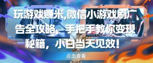玩游戏挣米，微信小游戏刷广告全攻略，手把手教你变现秘籍，小白当天见效-沐风资源库
