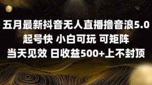 2025五月最新无人直播撸音浪单日产出5张+实操教程【揭秘】-沐风资源库