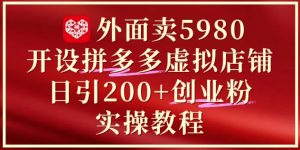 外面卖5980开设拼多多虚拟店铺：单日引流200+创业付费粉实战教程-沐风资源库