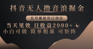 抖音无人撸音浪掘金，五月最新风口项目，当天见效，日收益多张，小白可做简单粗暴可矩阵【揭秘】-沐风资源库