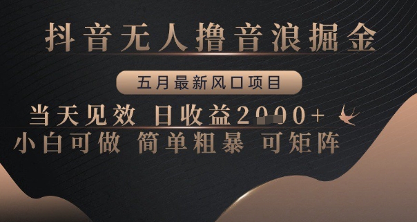 抖音无人撸音浪掘金，五月最新风口项目，当天见效，日收益多张，小白可做简单粗暴可矩阵【揭秘】-沐风资源库