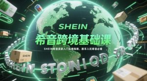 希音跨境基础课，SHEIN希音卖家入门实操指南，新手入坑希音必看-沐风资源库