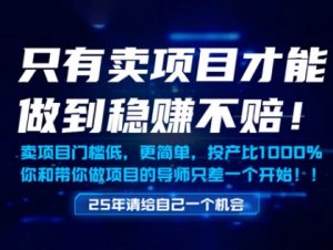 只有卖项目才能做到稳挣不赔，门槛低，更简单，你也可以年入百个W【揭秘】-沐风资源库