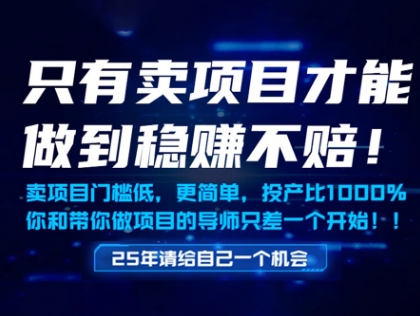 只有卖项目才能做到稳挣不赔，门槛低，更简单，你也可以年入百个W【揭秘】-沐风资源库