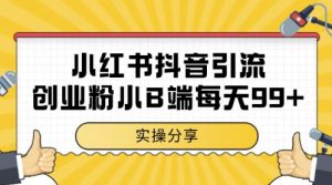 小红书抖音创业粉，小B端粉自热，日引99+的一个玩法【揭秘】-沐风资源库