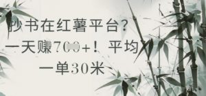 抄书在小红薯平台？平均一单30米，一天收益几张！-沐风资源库