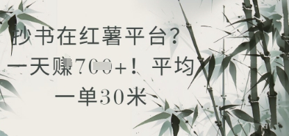 抄书在小红薯平台？平均一单30米，一天收益几张！-沐风资源库