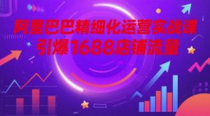 阿里巴巴精细化运营实战课，引爆1688店铺流量-沐风资源库